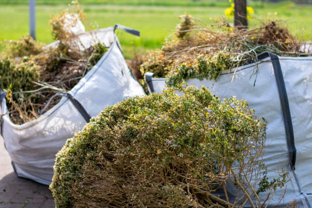 Best Professional Junk Removal  in Kaibab Estates West, AZ
