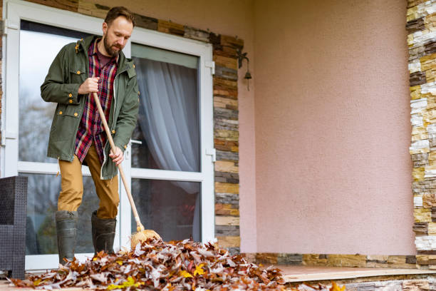 Yard Cleanup Services in Kaibab Estates West, AZ